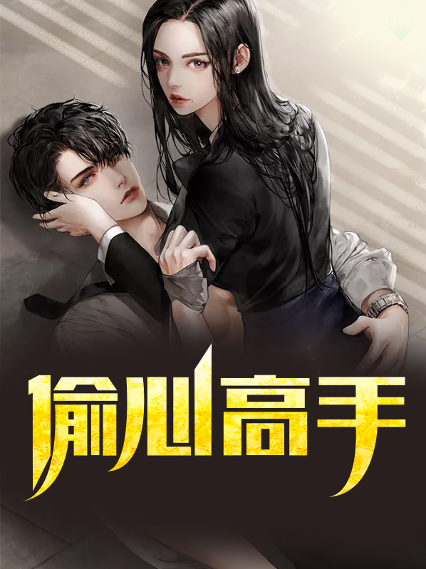 偷心高手在线阅读