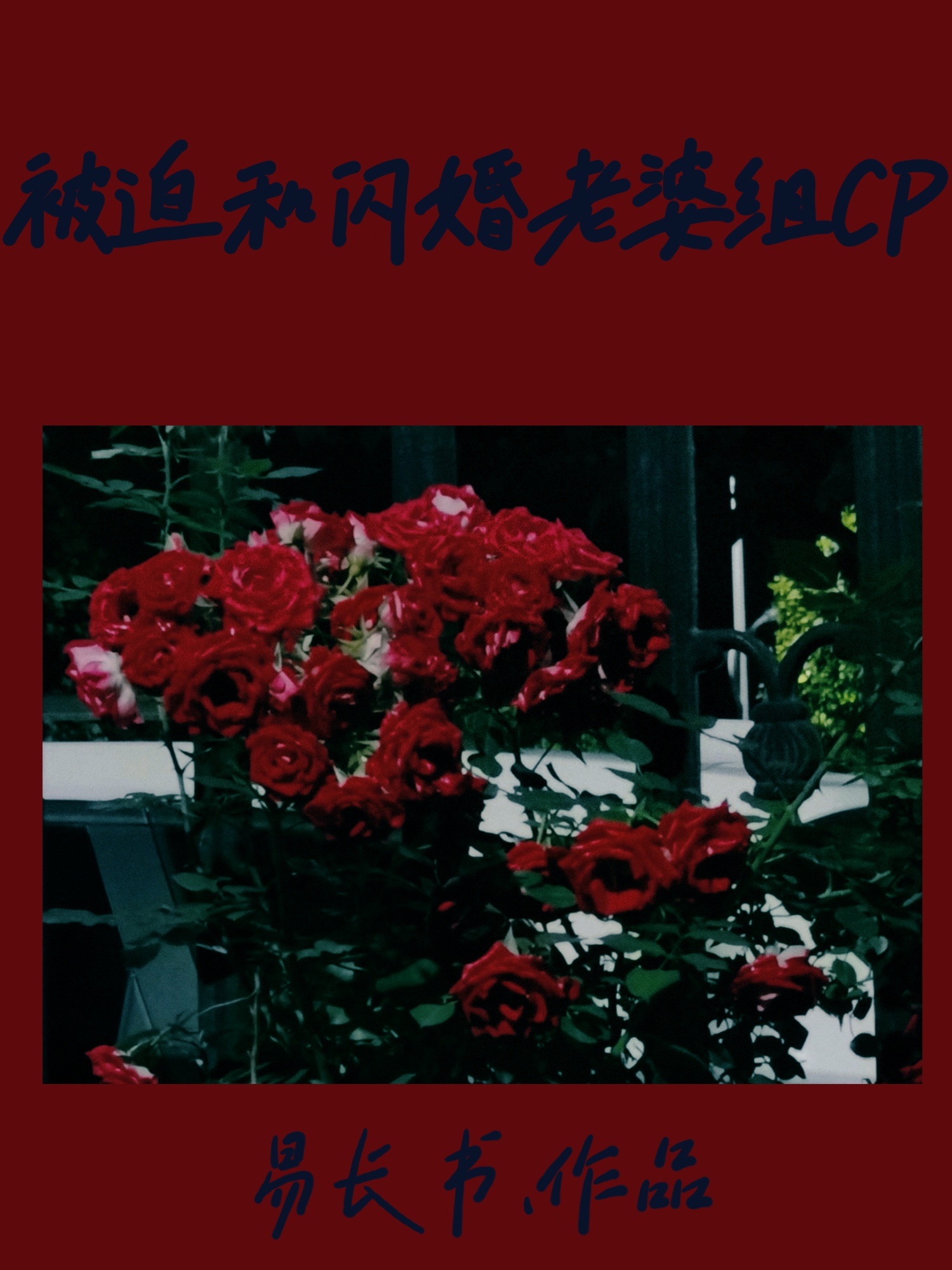 被迫和闪婚老婆组cp笔趣阁