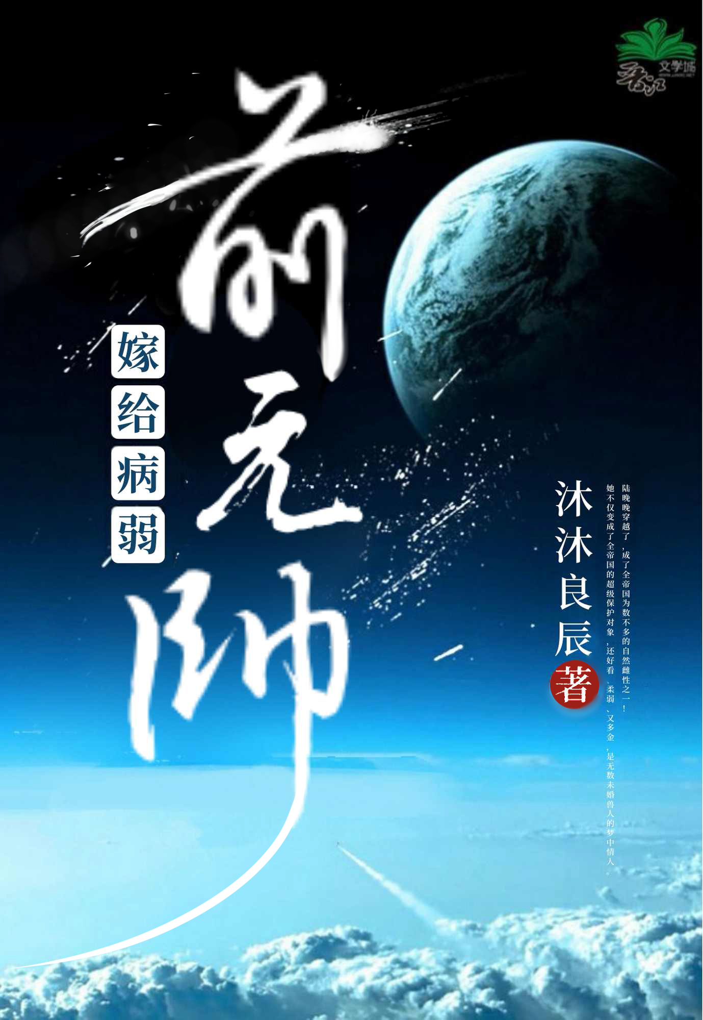 嫁给病弱前元帅全文免费阅读