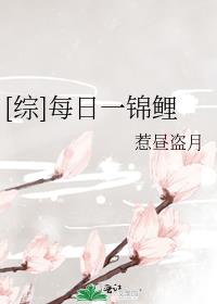 综每日一锦鲤类似小说推荐