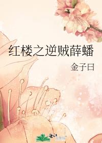 红楼之逆贼薛蟠txt百度云