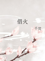 借火师娘免费阅读