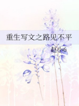 重生之写文人生 小说