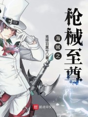 海贼王之枪械至尊