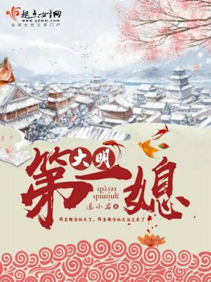大明仅一位 小说