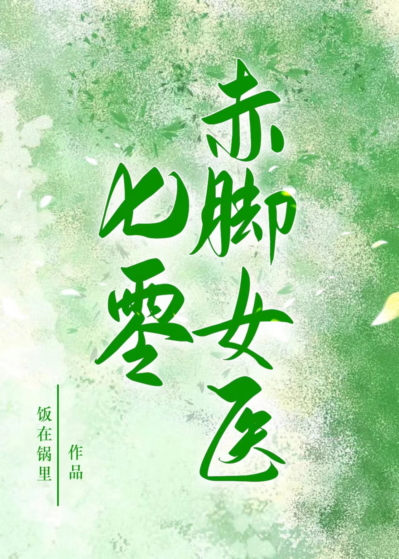 七零赤脚女医饭在锅里格格党