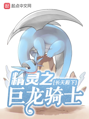 精灵之巨龙骑士小说