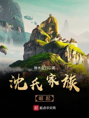 沈氏家族崛起起点