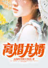 离婚龙婿 小说