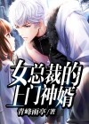 女总裁的上门神婿 寒烟似雪