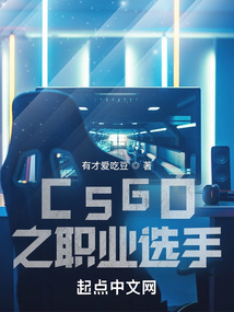 csgo之职业选手小说
