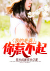 我的老婆你们惹不起鸽子