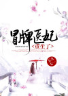 冒牌宠妃