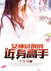 女神总裁的近身高手华美怡