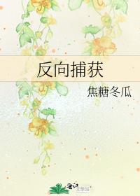 反向捕获小说