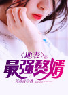 地球最强赘婿