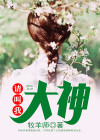 叫我大神仙动漫