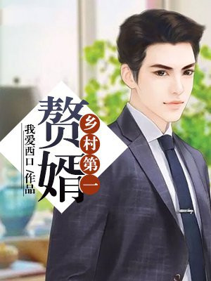 乡村第一赘婿 小说