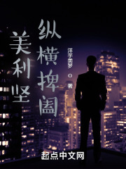 美利坚纵横捭阖 英雄小说