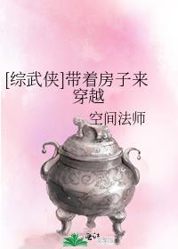 [综武侠]带着房子来穿越 小说