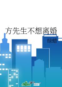 方先生不想离婚txt百度云