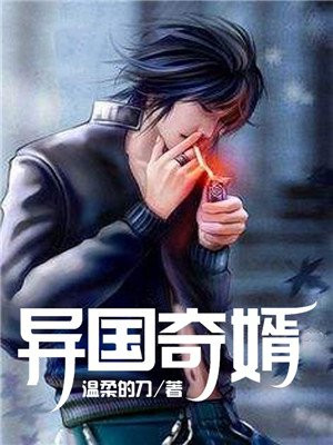 异国奇婿