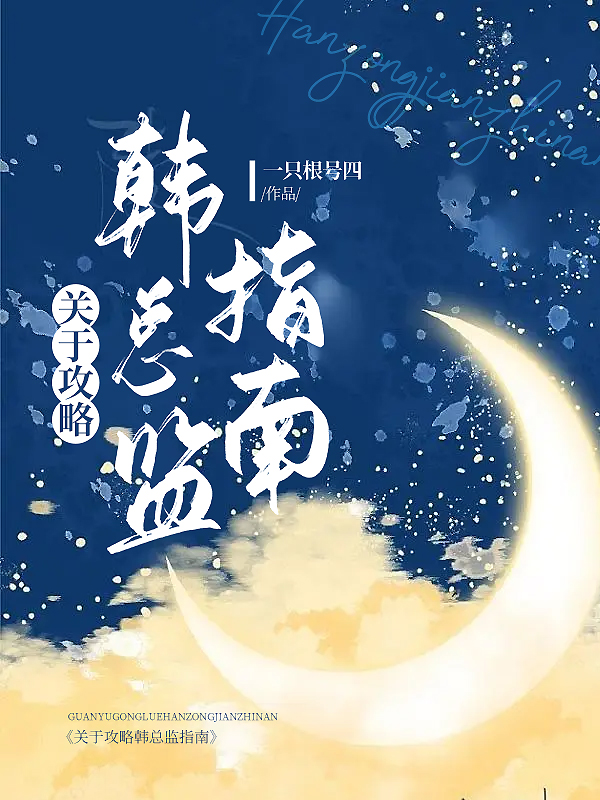 关于攻略韩总监指南