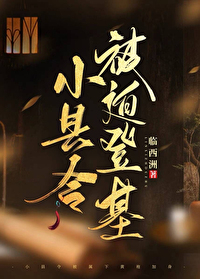 小县令被迫登基(基建)最新