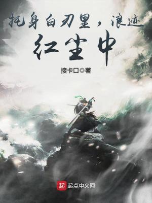 托身白刃里,浪迹红尘中好看吗