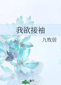 我欲接袖的最新章节