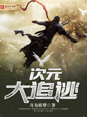 次元大追逃番茄小说