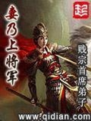 妻乃上将军为什么下架