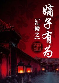 红楼之嫡子归来 小说