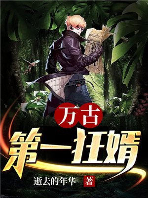 万古第一狂婿-逝去的年华