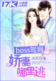 boss请注意:娇妻重生了!
