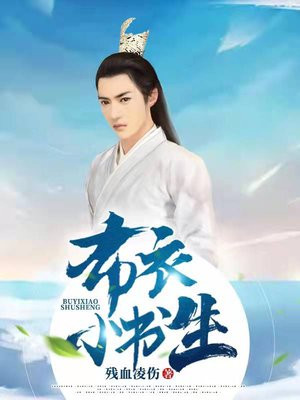 布衣小书生女主角几个