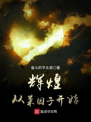 辉煌从菜园子开始 小说