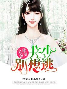 总裁前妻别想逃全文阅读