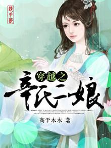穿越剧辛月