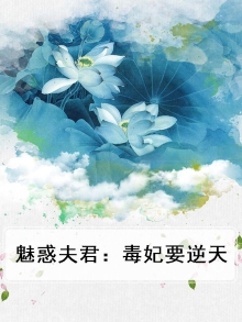 魅妃惑天下 小说