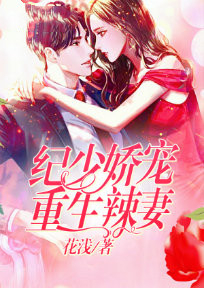 纪少宠妻无度 小说