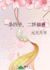 一条四爷,二饼福晋下载