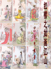 红楼之如画江山 二手电瓶
