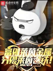 富莱茵花园户型图