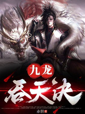 九龙吞天诀叶辰沈雁凡