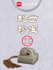 乱世珍宝小说免费阅读