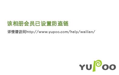 综羽毛和网球