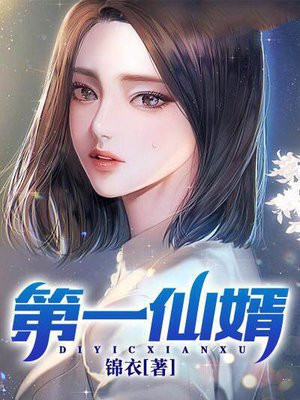 第一仙婿小说在线阅读
