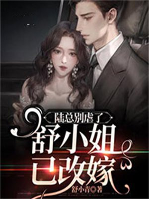 陆总别虐了,舒小姐已改嫁小说