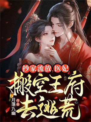 抄家流放,医妃搬空王府去逃荒 小说